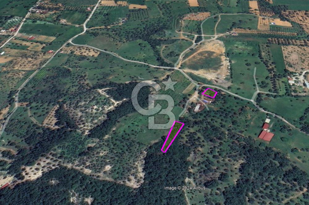 LAND FOR SALE WITH HIGH INVESTMENT VALUE IN GÜZELBAHÇE YELKİ