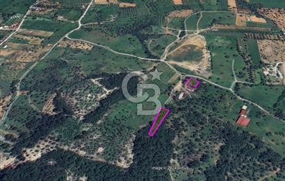 LAND FOR SALE WITH HIGH INVESTMENT VALUE IN GÜZELBAHÇE YELKİ