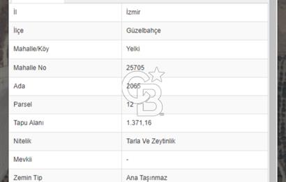 GÜZELBAHÇE YELKİ’DE OTOBAN KENARINDA SATILIK TARLA