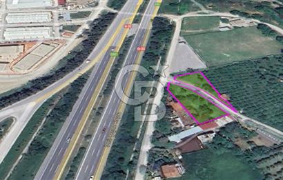 LAND FOR SALE ON THE SIDE OF THE HIGHWAY IN GÜZELBAHÇE YELKİ