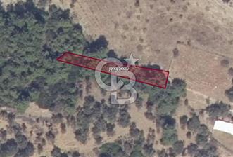 LAND FOR SALE WITH HIGH INVESTMENT VALUE IN GÜZELBAHÇE YELKİ