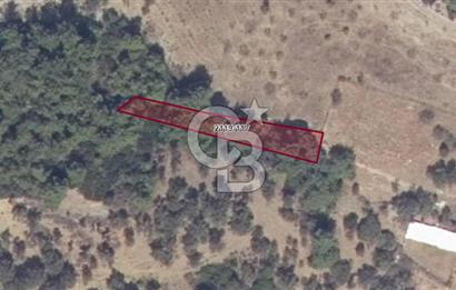 LAND FOR SALE WITH HIGH INVESTMENT VALUE IN GÜZELBAHÇE YELKİ