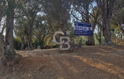 LAND FOR SALE ON THE SIDE OF THE HIGHWAY IN GÜZELBAHÇE YELKİ