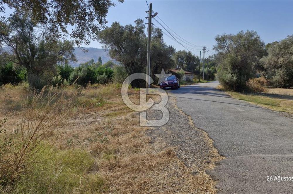 LAND FOR SALE ON THE SIDE OF THE HIGHWAY IN GÜZELBAHÇE YELKİ