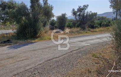 LAND FOR SALE ON THE SIDE OF THE HIGHWAY IN GÜZELBAHÇE YELKİ