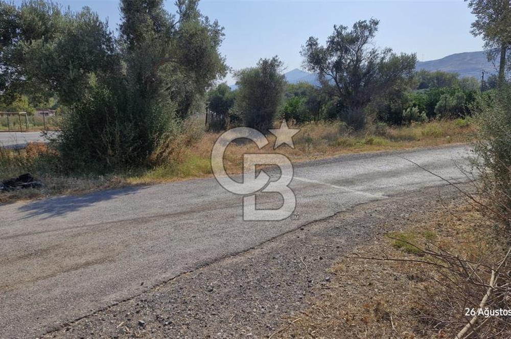 LAND FOR SALE ON THE SIDE OF THE HIGHWAY IN GÜZELBAHÇE YELKİ