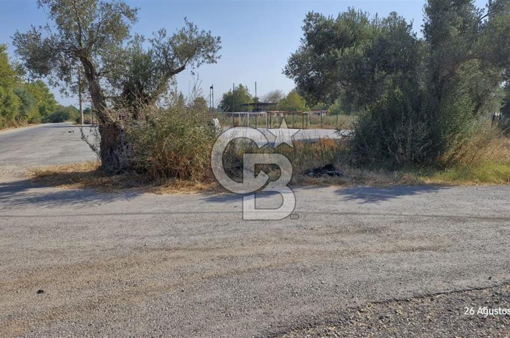 LAND FOR SALE ON THE SIDE OF THE HIGHWAY IN GÜZELBAHÇE YELKİ