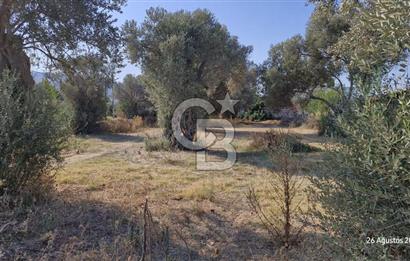 LAND FOR SALE ON THE SIDE OF THE HIGHWAY IN GÜZELBAHÇE YELKİ