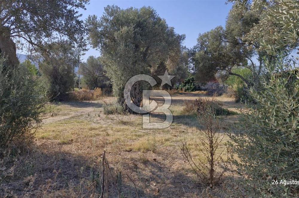 LAND FOR SALE ON THE SIDE OF THE HIGHWAY IN GÜZELBAHÇE YELKİ