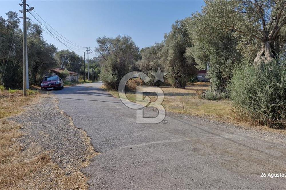 LAND FOR SALE ON THE SIDE OF THE HIGHWAY IN GÜZELBAHÇE YELKİ