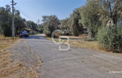 LAND FOR SALE ON THE SIDE OF THE HIGHWAY IN GÜZELBAHÇE YELKİ