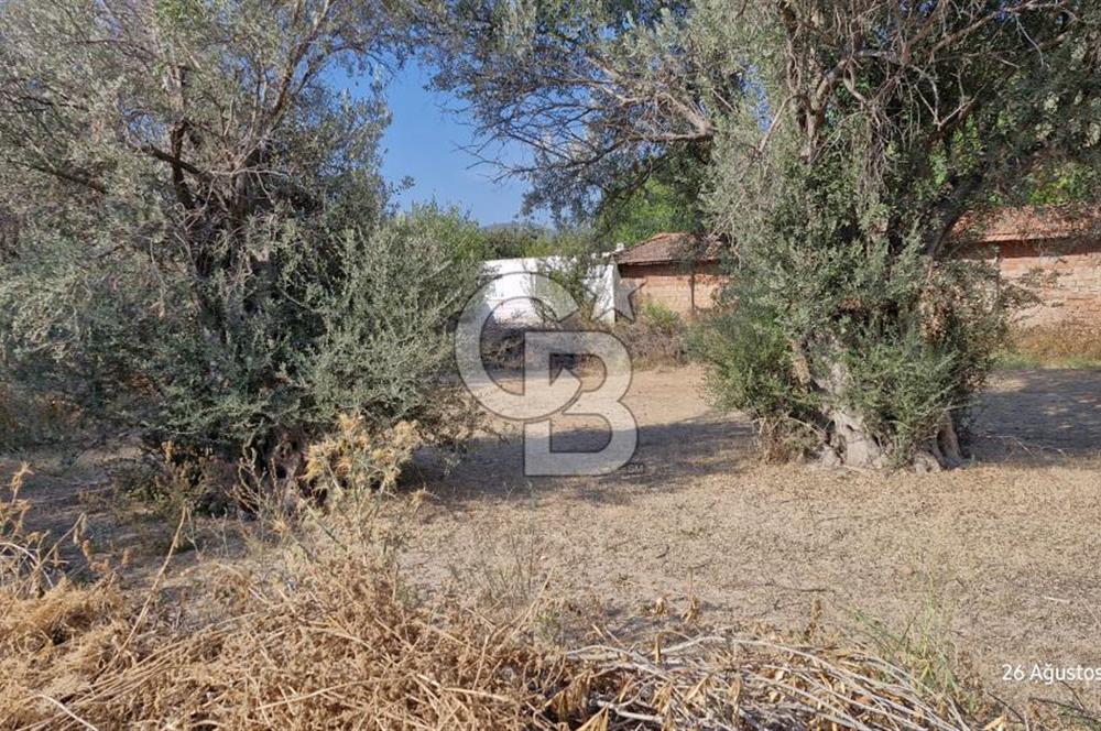 LAND FOR SALE ON THE SIDE OF THE HIGHWAY IN GÜZELBAHÇE YELKİ