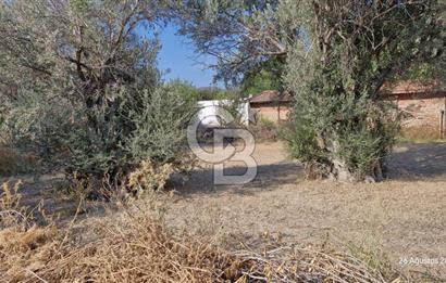 LAND FOR SALE ON THE SIDE OF THE HIGHWAY IN GÜZELBAHÇE YELKİ