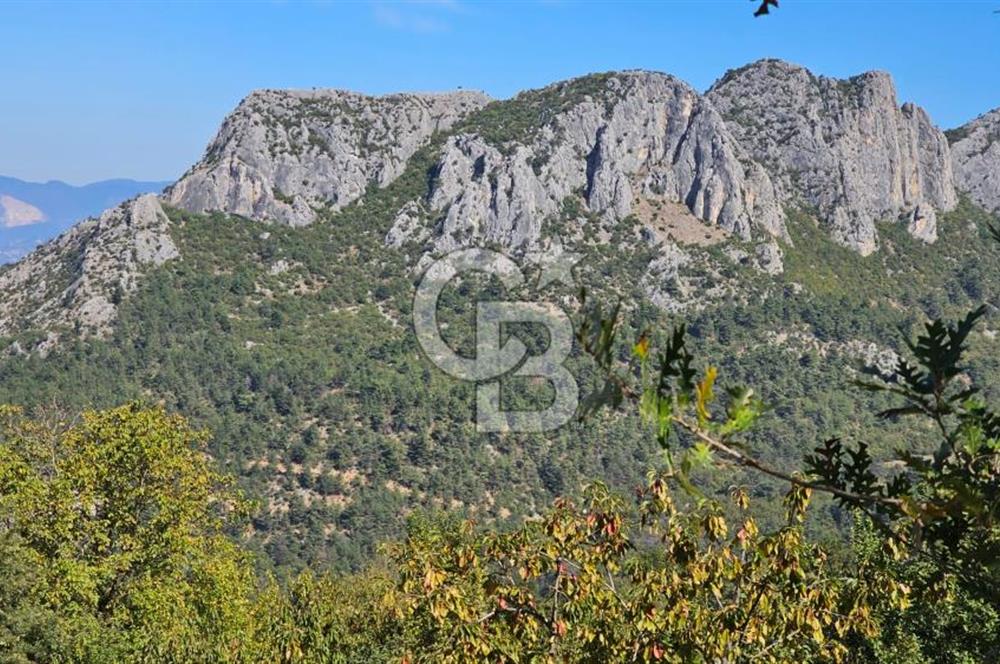 SAKARYA GEYVE DEMİRLER MAHALLESİNE BAĞ BAHÇE TAPULU ARAZİ SATILIK