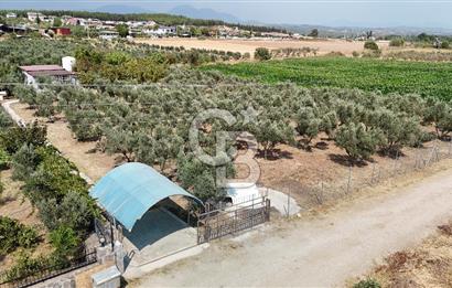 İzmir Menderes içinde resmi ev olan Satılık Tarla