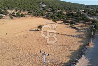 ANTALYA KAŞ AHATLI YOL ÜZERİ SATILIK 20 DÖNÜM TEK TAPU TARLA