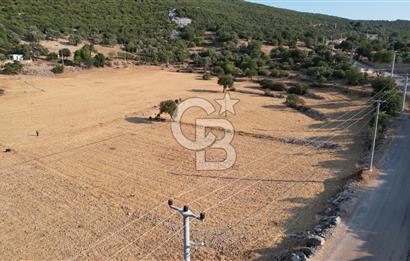 ANTALYA KAŞ AHATLI YOL ÜZERİ SATILIK 20 DÖNÜM TEK TAPU TARLA