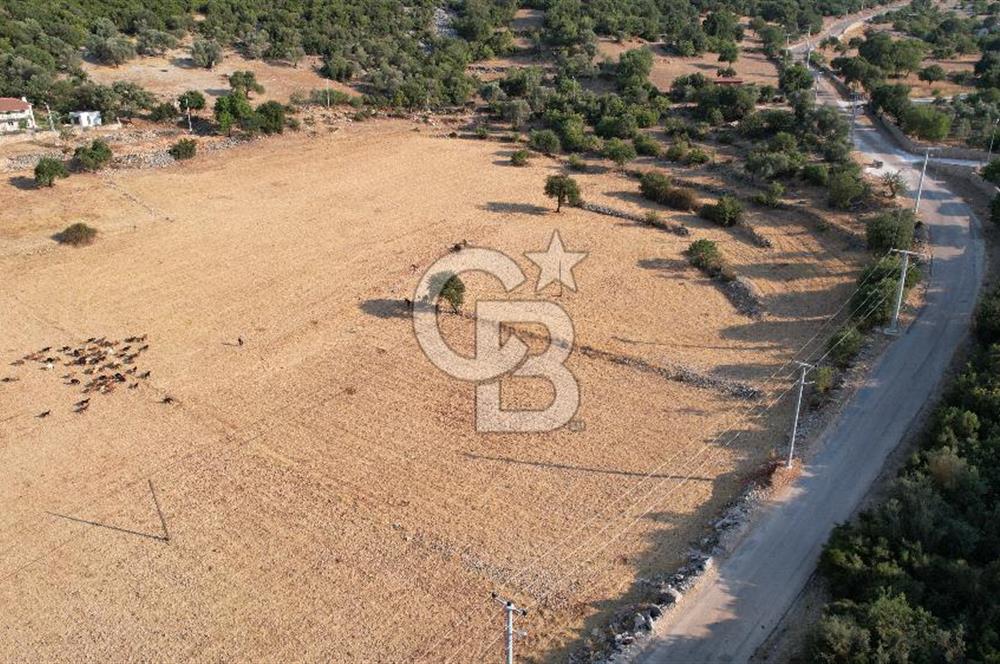 ANTALYA KAŞ AHATLI YOL ÜZERİ SATILIK 20 DÖNÜM TEK TAPU TARLA