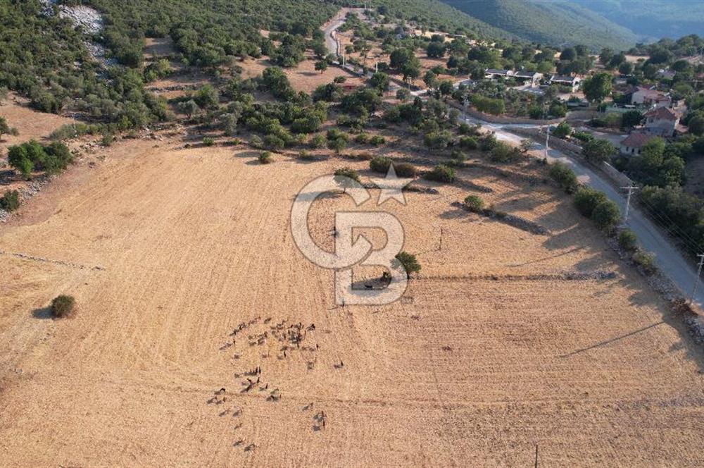 ANTALYA KAŞ AHATLI YOL ÜZERİ SATILIK 20 DÖNÜM TEK TAPU TARLA