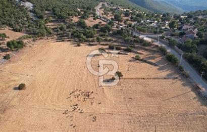 ANTALYA KAŞ AHATLI YOL ÜZERİ SATILIK 20 DÖNÜM TEK TAPU TARLA