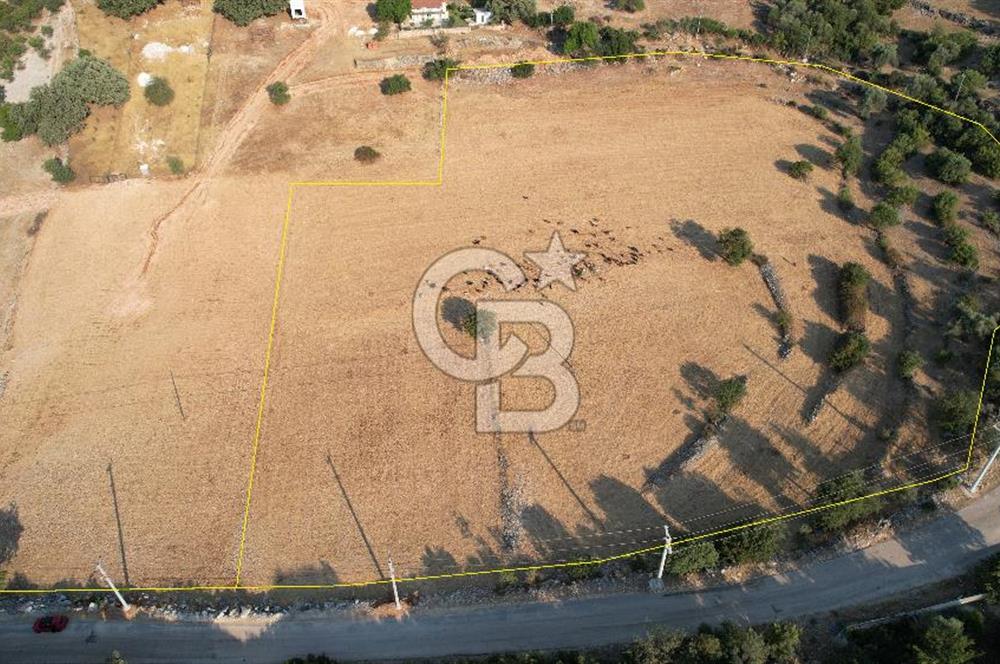 ANTALYA KAŞ AHATLI YOL ÜZERİ SATILIK 20 DÖNÜM TEK TAPU TARLA