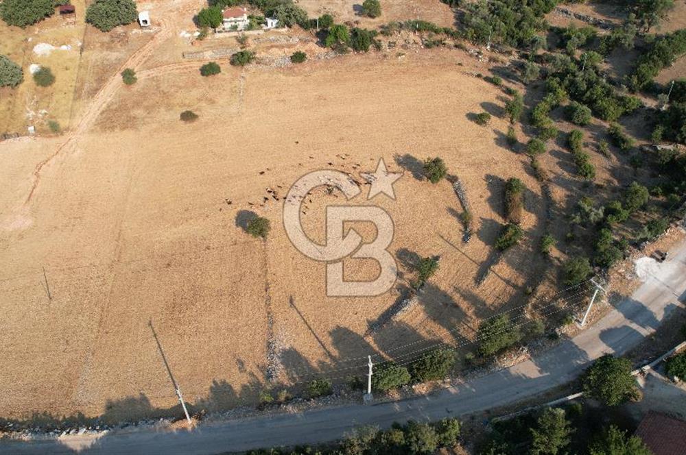 ANTALYA KAŞ AHATLI YOL ÜZERİ SATILIK 20 DÖNÜM TEK TAPU TARLA