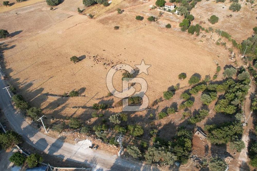 ANTALYA KAŞ AHATLI YOL ÜZERİ SATILIK 20 DÖNÜM TEK TAPU TARLA