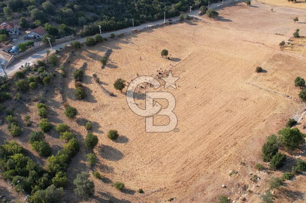 ANTALYA KAŞ AHATLI YOL ÜZERİ SATILIK 20 DÖNÜM TEK TAPU TARLA