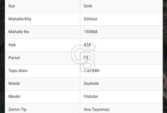 İznik Göllüce'de Fırsat Tarla