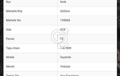 İznik Göllüce'de Fırsat Tarla