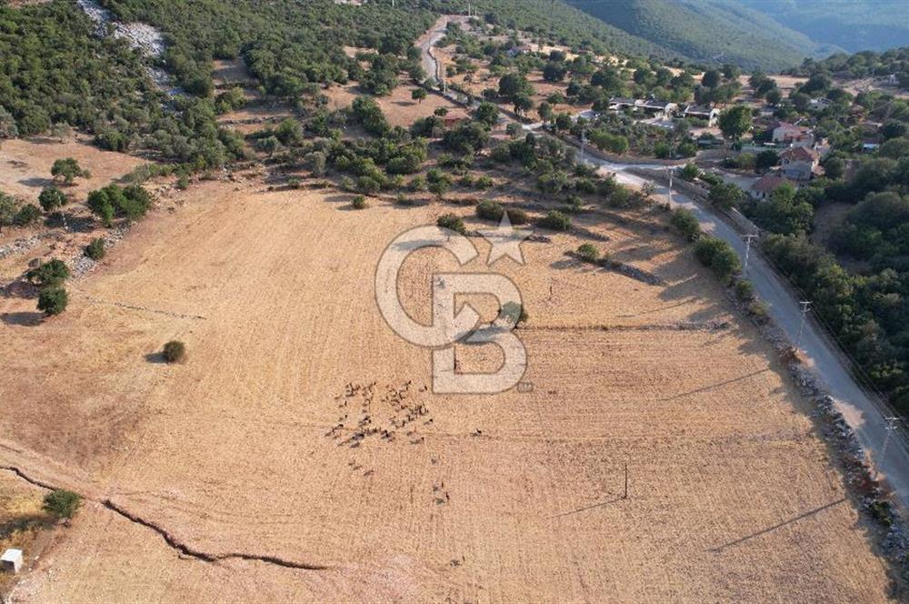 ANTALYA KAŞ AHATLI YOL ÜZERİ SATILIK 20 DÖNÜM TEK TAPU TARLA