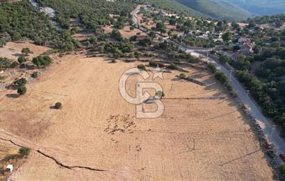 ANTALYA KAŞ AHATLI YOL ÜZERİ SATILIK 20 DÖNÜM TEK TAPU TARLA