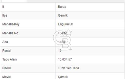 GEMLİK OTOBAN ÇIKIŞINDA 5.000 LİK PLAN İÇERİSİNDE SATILIK TARLA