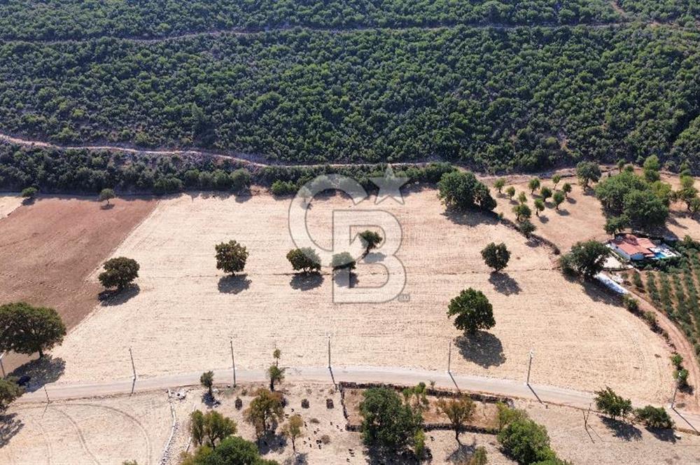 ANTALYA KAŞ AHATLI YOL ÜZERİ SATILIK MÜSTAKİL PARSEL TARLA