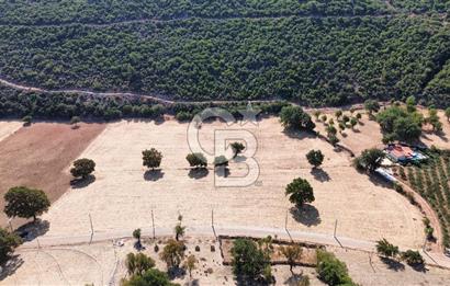 ANTALYA KAŞ AHATLI YOL ÜZERİ SATILIK MÜSTAKİL PARSEL TARLA