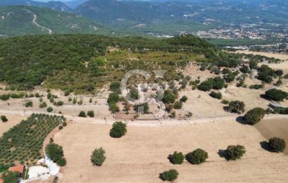 ANTALYA KAŞ AHATLI YOL ÜZERİ SATILIK MÜSTAKİL PARSEL TARLA