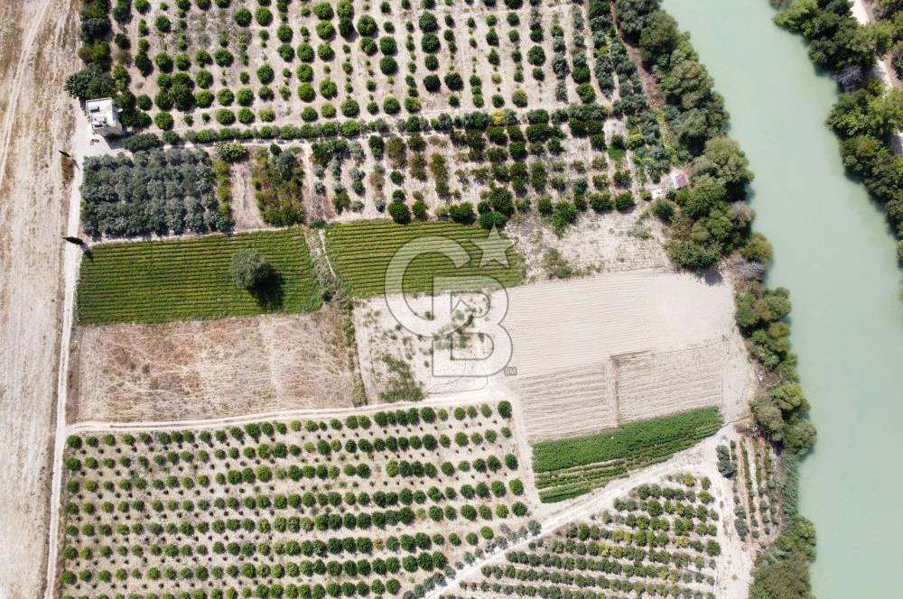 1194469352 CB MORE - Silifke Göksu Nehri Yanında Verimli Satılık Tarla