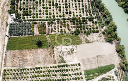 1194469352 CB MORE - Silifke Göksu Nehri Yanında Verimli Satılık Tarla