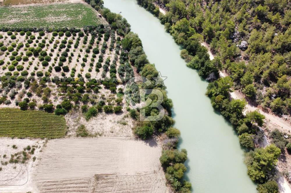 1194469352 CB MORE - Silifke Göksu Nehri Yanında Verimli Satılık Tarla