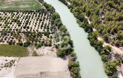 1194469352 CB MORE - Silifke Göksu Nehri Yanında Verimli Satılık Tarla