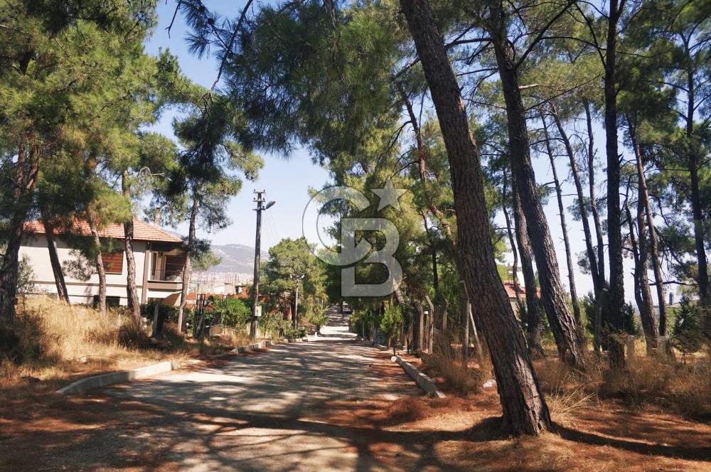 Kemalpaşa-Örnekköy'de Satılık Villa İmarlı Kupon Arsa