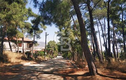 Kemalpaşa-Örnekköy'de Satılık Villa İmarlı Kupon Arsa