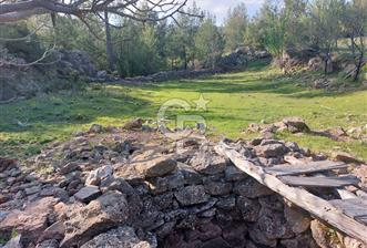 Muğla Menteşe Sarnıç Mah Satılık Tarla 