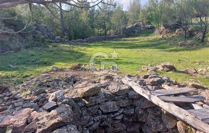 Muğla Menteşe Sarnıç Mah Satılık Tarla 