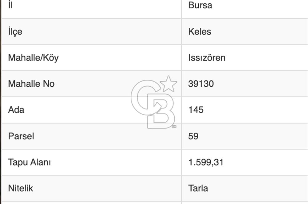 1.599 m2 Doğa Harikası Yola Cepheli Muhteşem Tarla