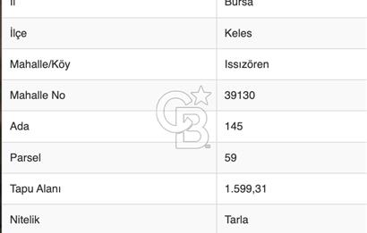 1.599 m2 Doğa Harikası Yola Cepheli Muhteşem Tarla