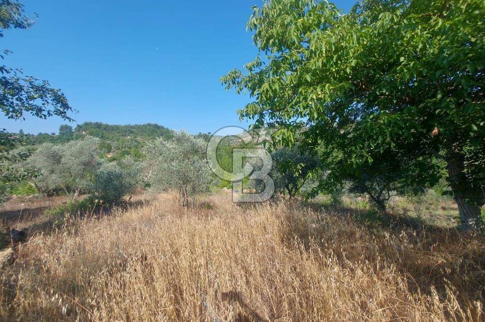 Muğla Menteşe Yerkesik Mah Satılık Tarla