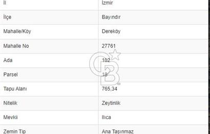 İZMİR BAYINDIR DEREKÖY 765 m2 SATILIK ZEYTİNLİK