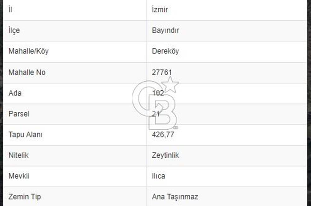 İZMİR BAYINDIR DEREKÖY 426 m2 SATILIK ZEYTİNLİK