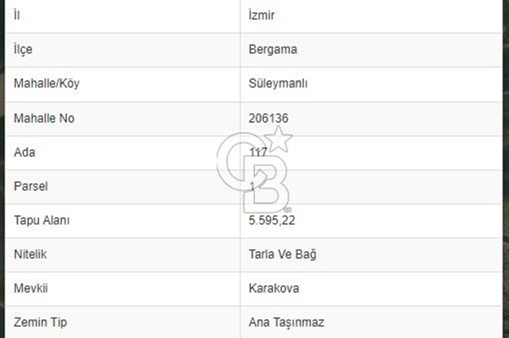 İZMİR BERGAMA SÜLEYMANLI 5.600 m2 SATILIK TARLA